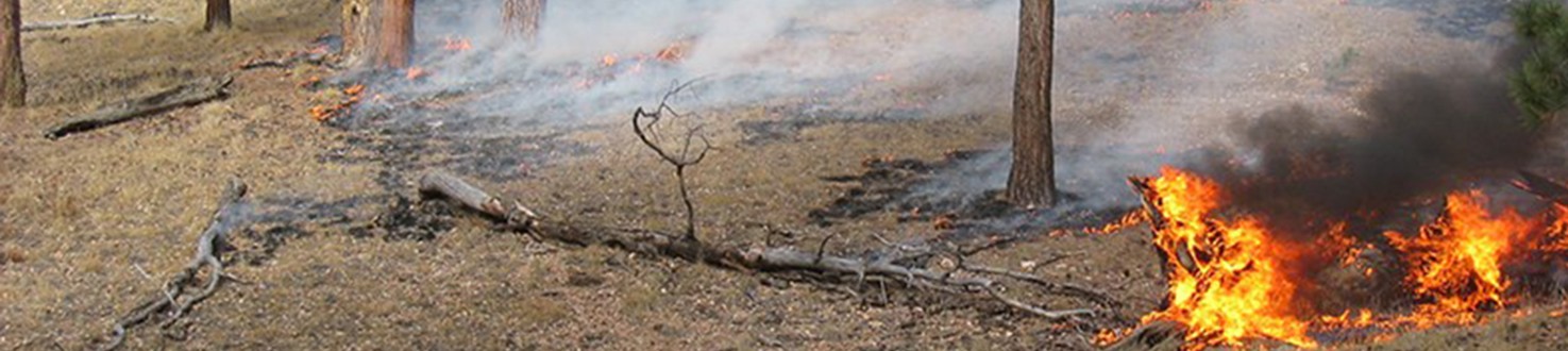 NFPA 1140 - Wildland Firefighter 1 (Spring 2025)